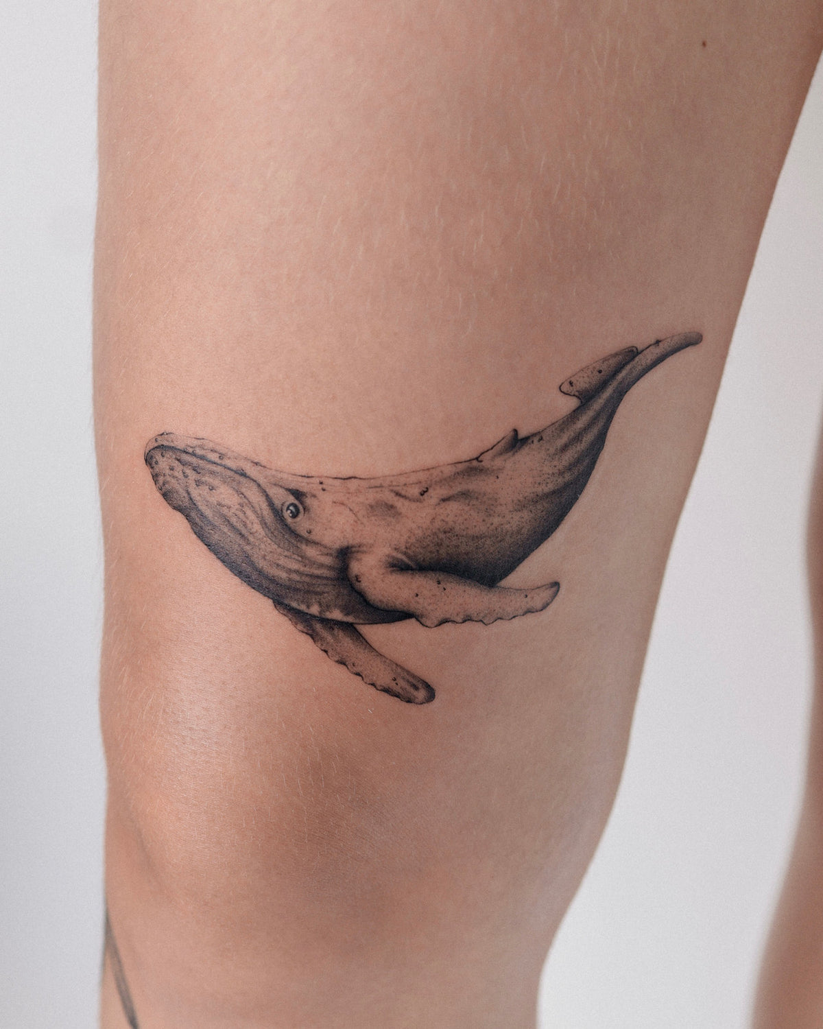 Tatouage par Marc-Alexandre, La Maison Tattoo
