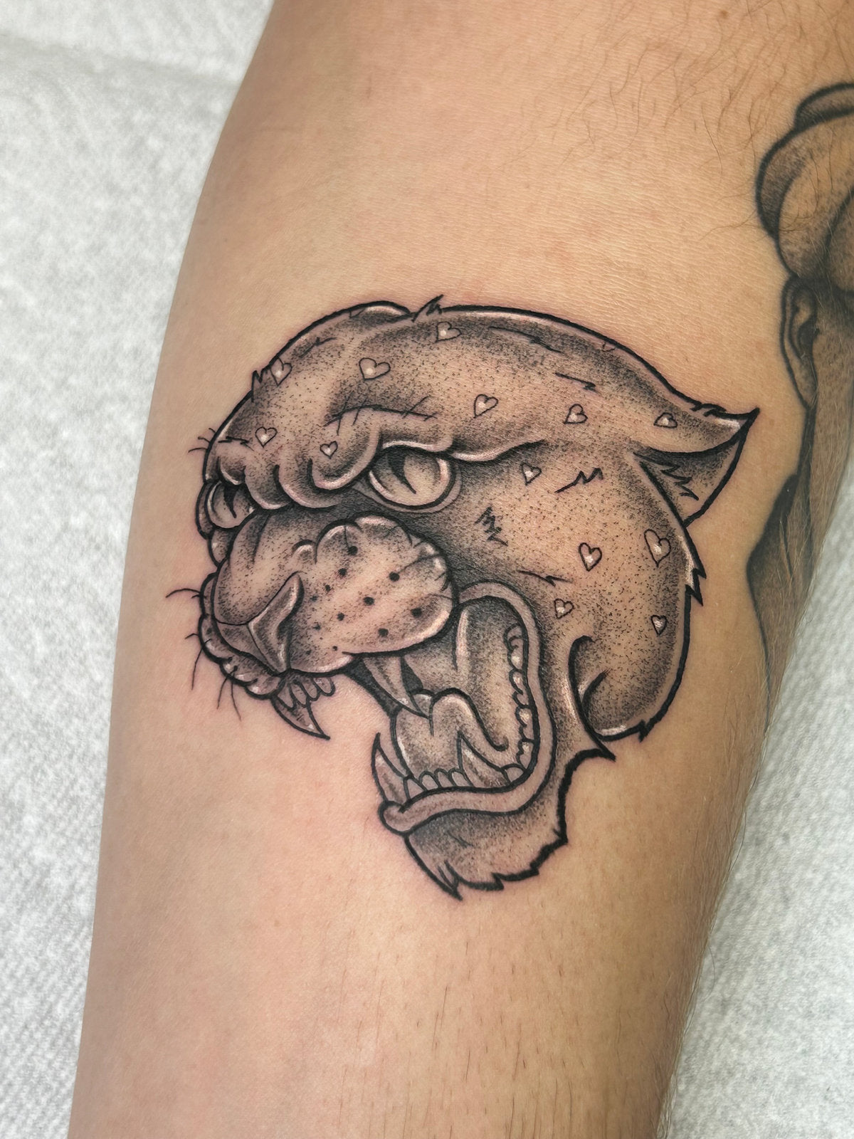 Tattoo of a jaguar neo-traditionnel