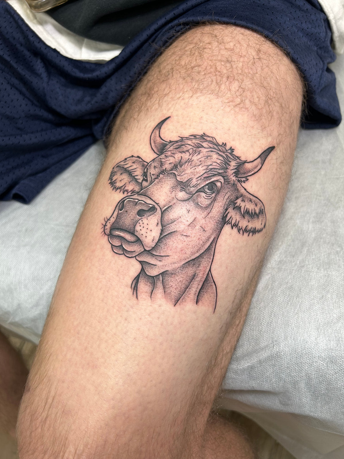 Cow tattoo neo-traditionnel