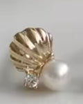 Seashell Pearl Studs
