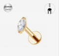 OVAL STUD GOLD TITANIUM