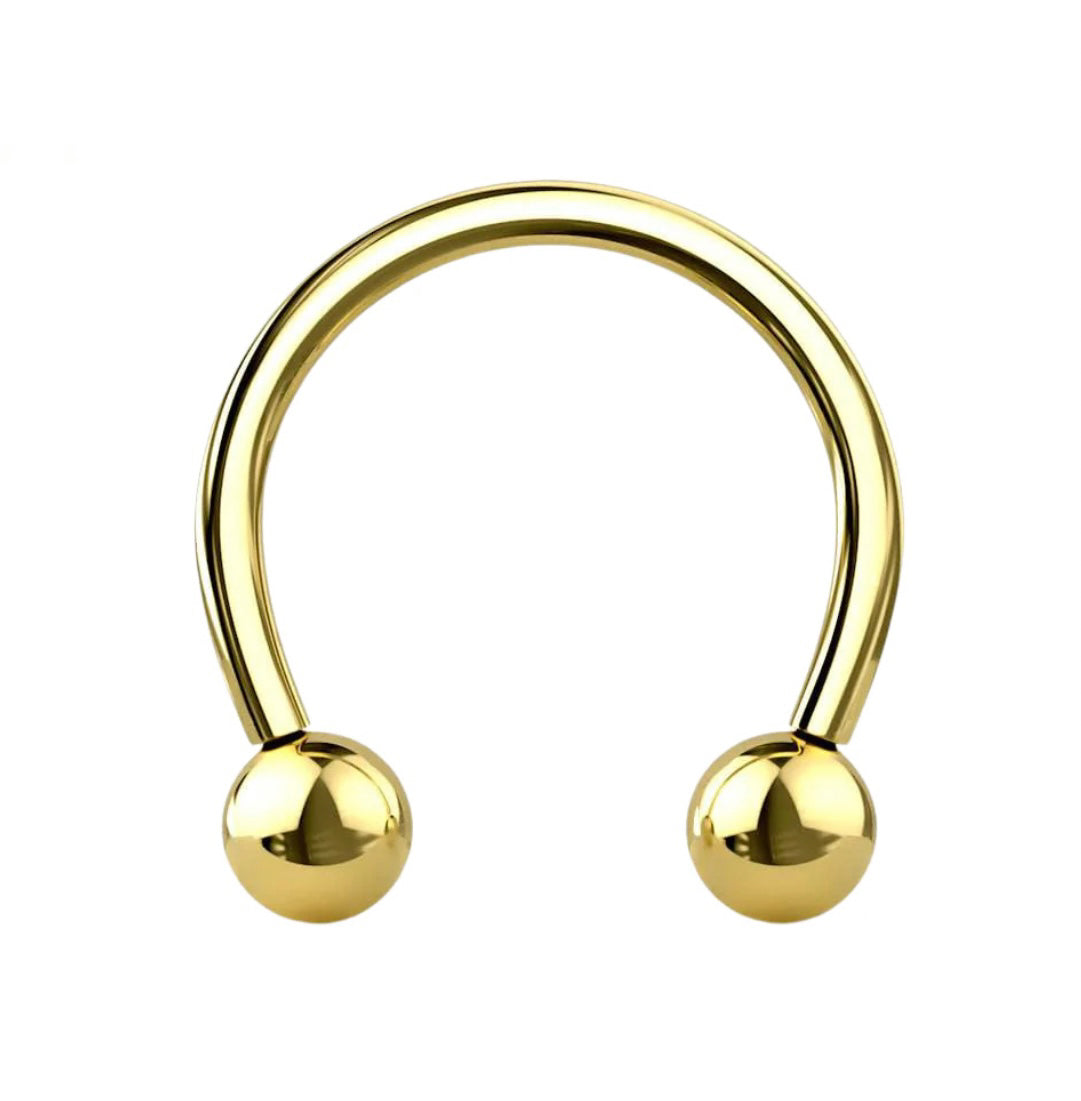 Horseshoe Barbell