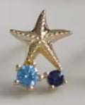 Starfish Studs